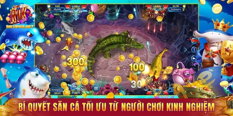 Bí quyết săn cá tối ưu được chia sẻ từ người chơi kinh nghiệm