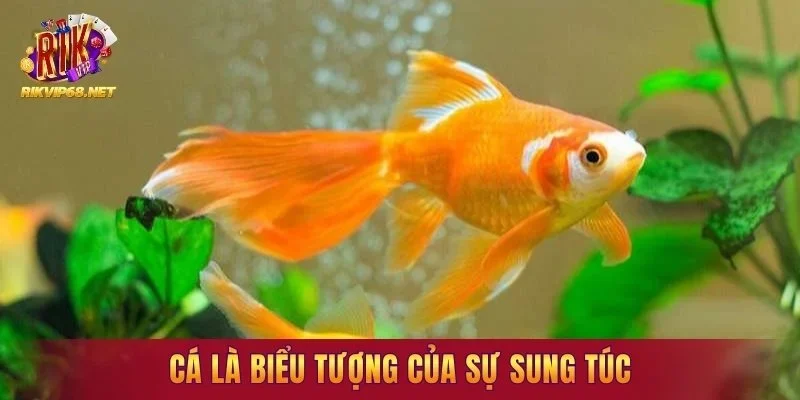 Cá là biểu tượng của sự sung túc