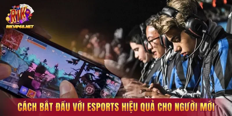 Cách bắt đầu với Esports hiệu quả cho người mới Cách bắt đầu với Esports hiệu quả cho người mới
