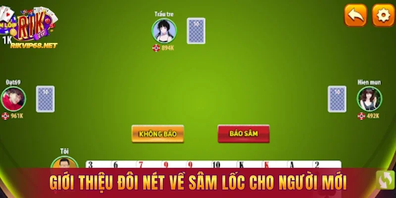 Giới thiệu đôi nét về sâm lốc cho người mới