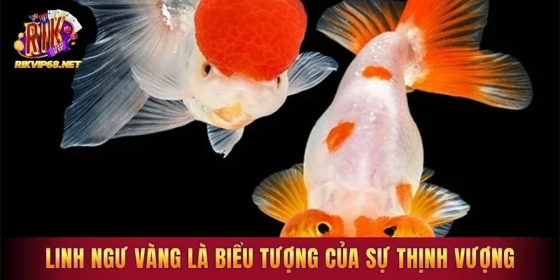 Linh ngư vàng là biểu tượng của sự thịnh vượng