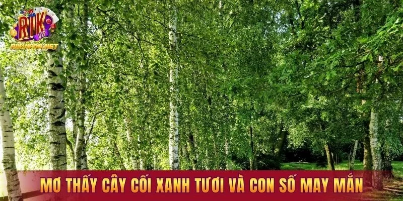 Mơ thấy cây cối xanh tươi và con số may mắn