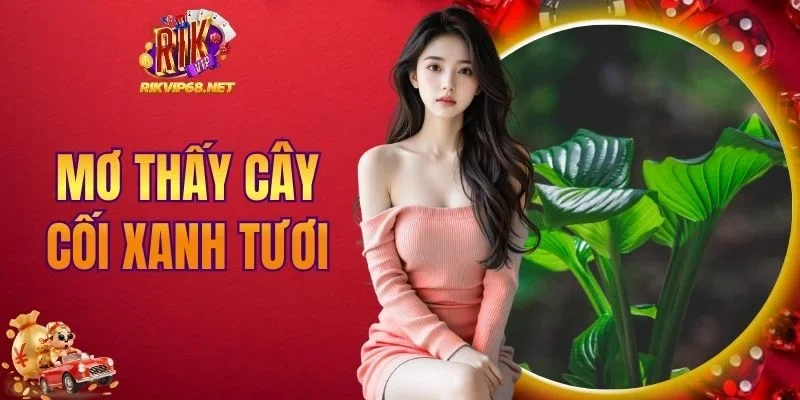 Mơ thấy cây cối xanh tươi