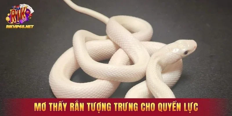 Mơ thấy rắn tượng trưng cho quyền lực