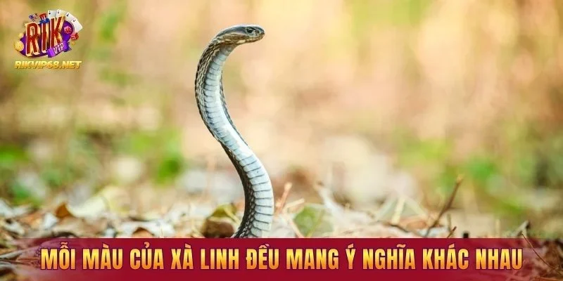 Mỗi màu sắc của xà linh đều mang một ý nghĩa khác nhau