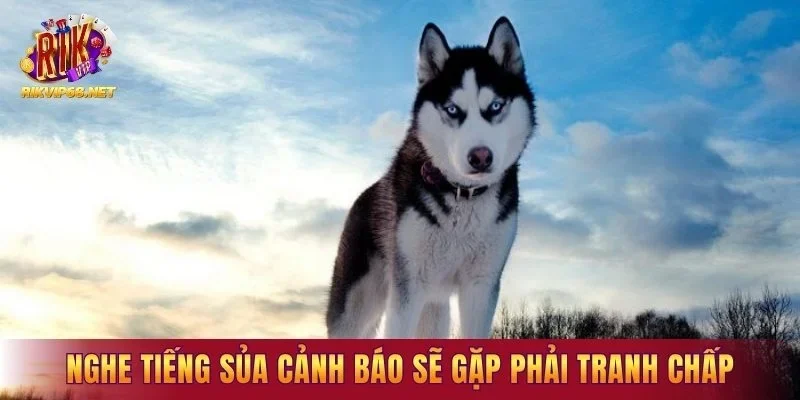 Nghe tiếng sủa cảnh báo sẽ gặp phải tranh chấp