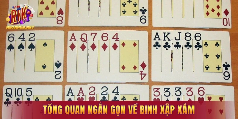 Tổng quan ngắn gọn về binh xập xám